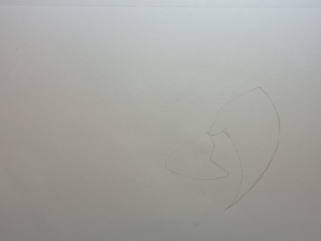 Comment dessiner un perroquet réaliste - Ara Macao. Commencer par le bec.