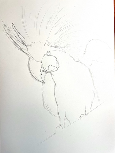 Comment dessiner un perroquet - Cacatoès noir. Dessiner le bec et les contours.
