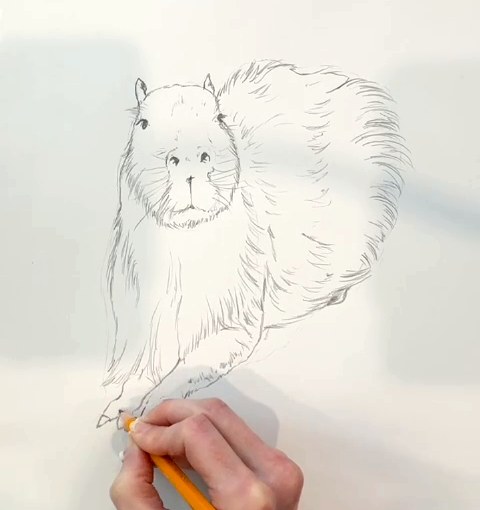 Étape 4 pour dessiner un capybara au crayon - Pattes avant et orteils du capybara dessinés au crayon