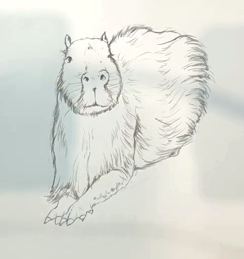 Étape 5 pour dessiner un capybara au crayon - Plus de détails de poil dessinés le long du contour du corps du capybara