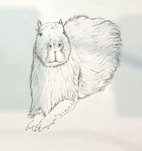 Étape 6 pour dessiner un capybara au crayon - Texture de poil dessinée avec des traits de crayon sur tout le corps du capybara