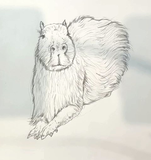 Étape 7 pour dessiner un capybara au crayon - Détails supplémentaires au crayon sur les pattes du capybara