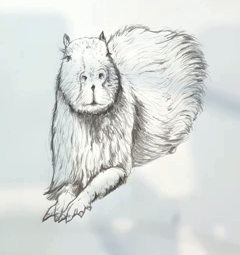 Étape 8 pour dessiner un capybara au crayon - Poil plus foncé et ombres dessinés au crayon pour donner de la profondeur au capybara