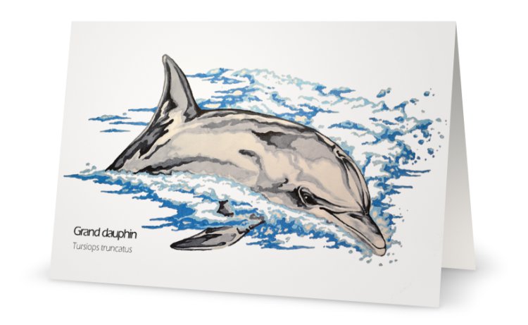 Grand dauphin dessin carte de souhaits