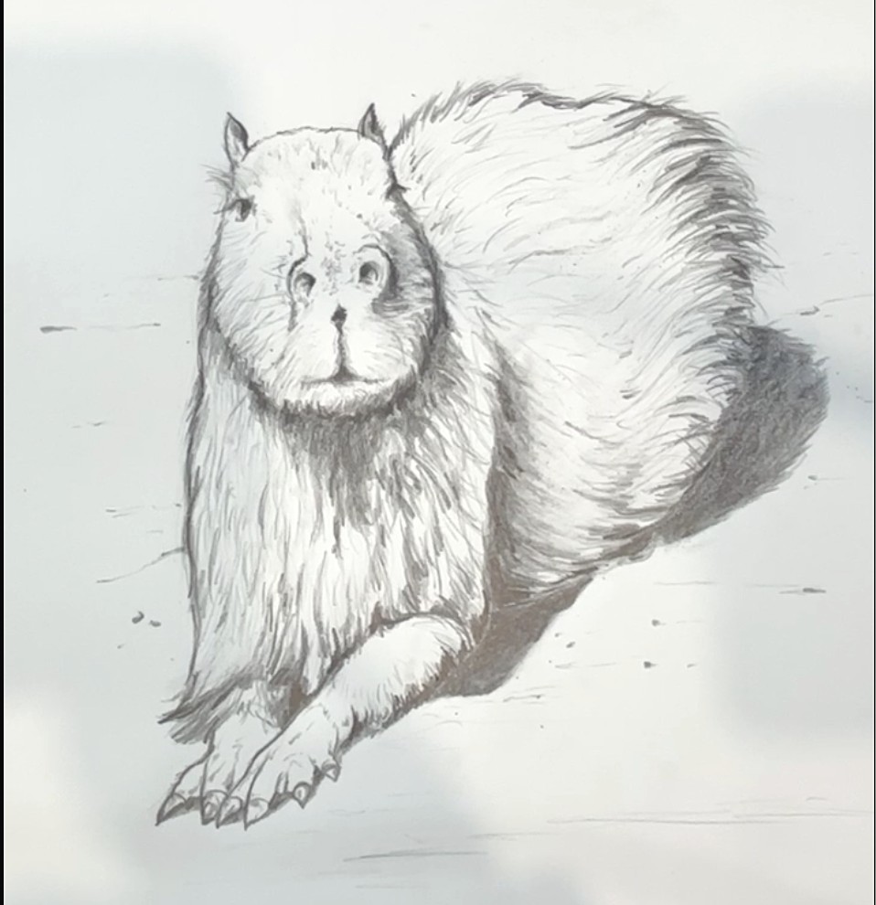 Finished realistic capybara drawing in graphite pencil, with fur texture, shadows and a simple background