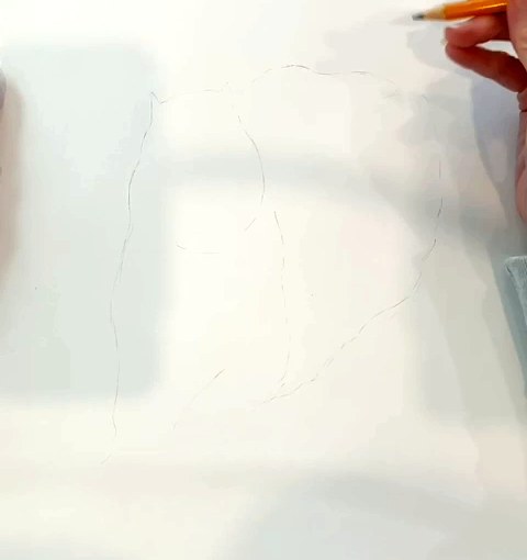 Step 1 how to draw a capybara in pencil - Pale construction lines for the body outline and main shapes of a capybara