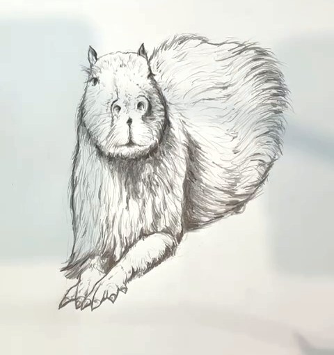 Step 9 how to draw a capybara in pencil - Final outlines of the capybara drawing finished in pencil