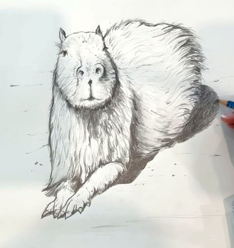 Step 10 how to draw a capybara in pencil - Finished capybara pencil drawing with a cast shadow and small background marks