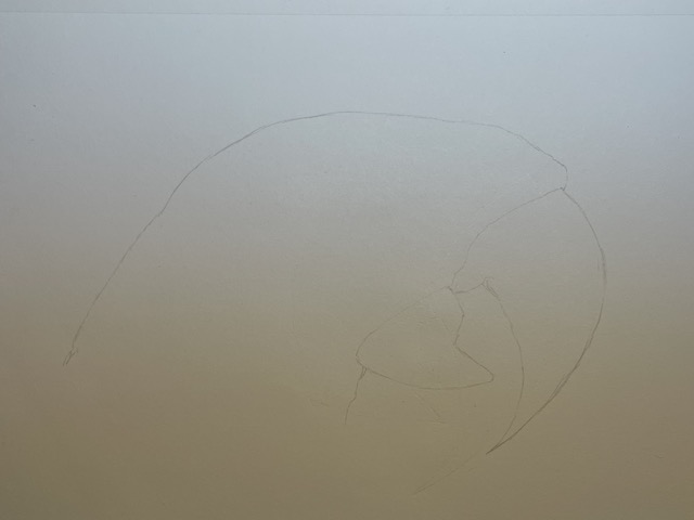 How to draw a realistic parrot - Scarlet Macaw. Draw the head outline.