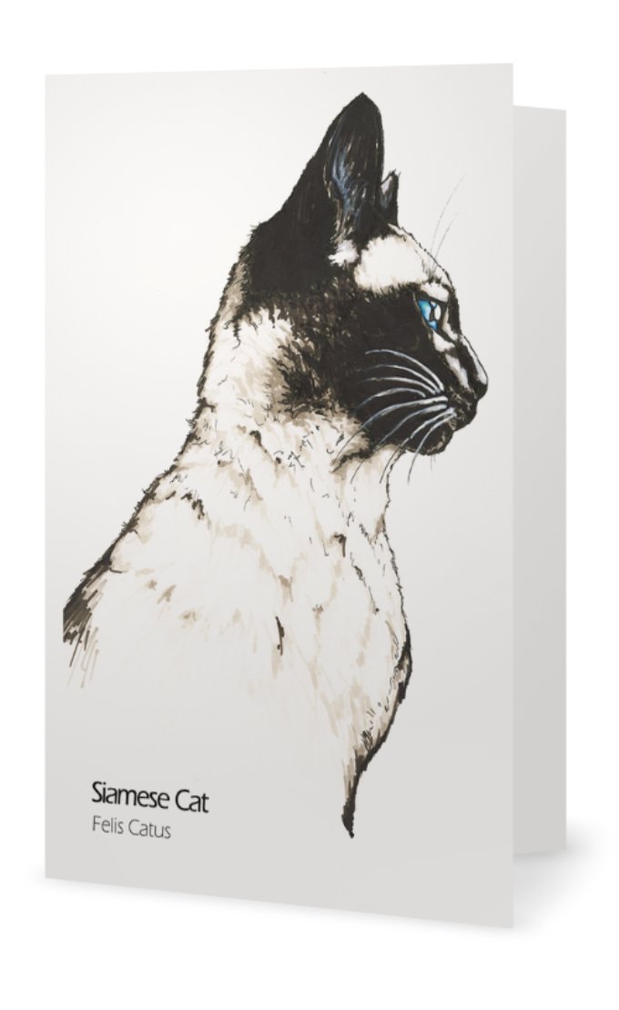 Siamese cat drawing greeting card