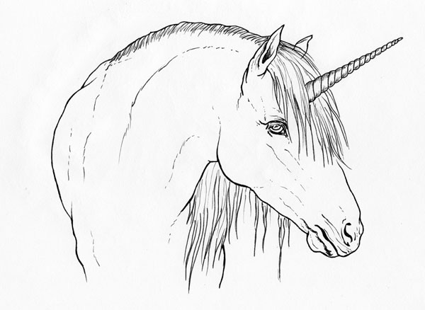 Unicorn coloring page to print - unicorn images to print free