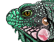 Green Iguana portrait drawing